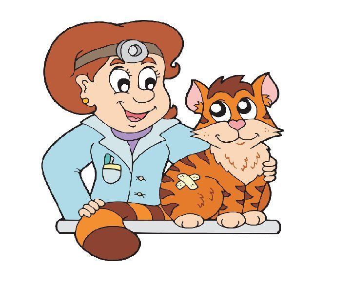 Cat boarding services for your cats in South Mimms close to London